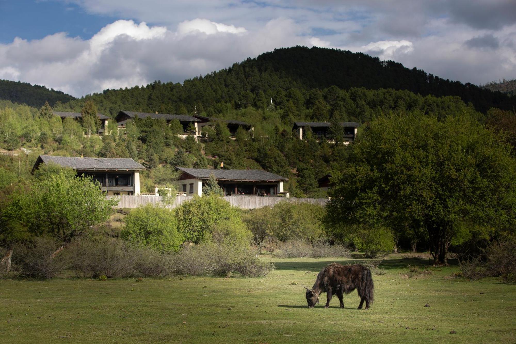 Banyan Tree Ringha Hotel Sangzsila Kültér fotó